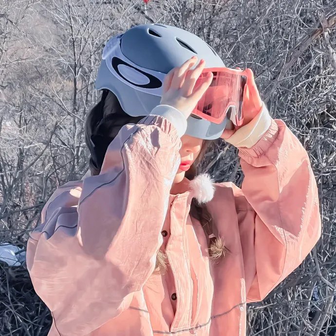 小狗吉米走私事件