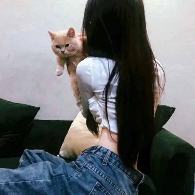 威尔·加德纳